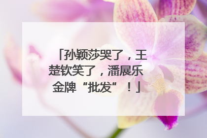 孙颖莎哭了，王楚钦笑了，潘展乐金牌“批发”！